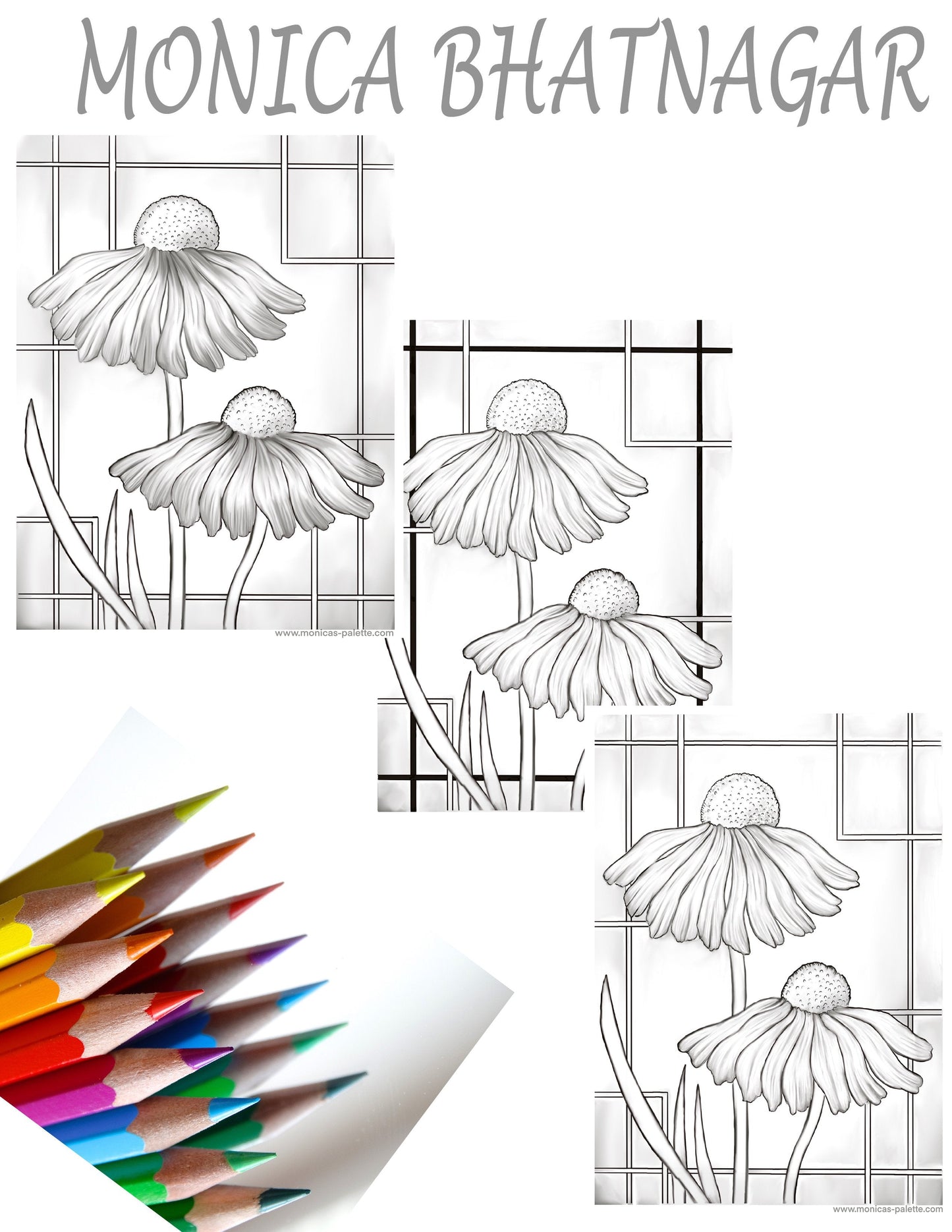 Coloring Page - Daisies Coloring Page