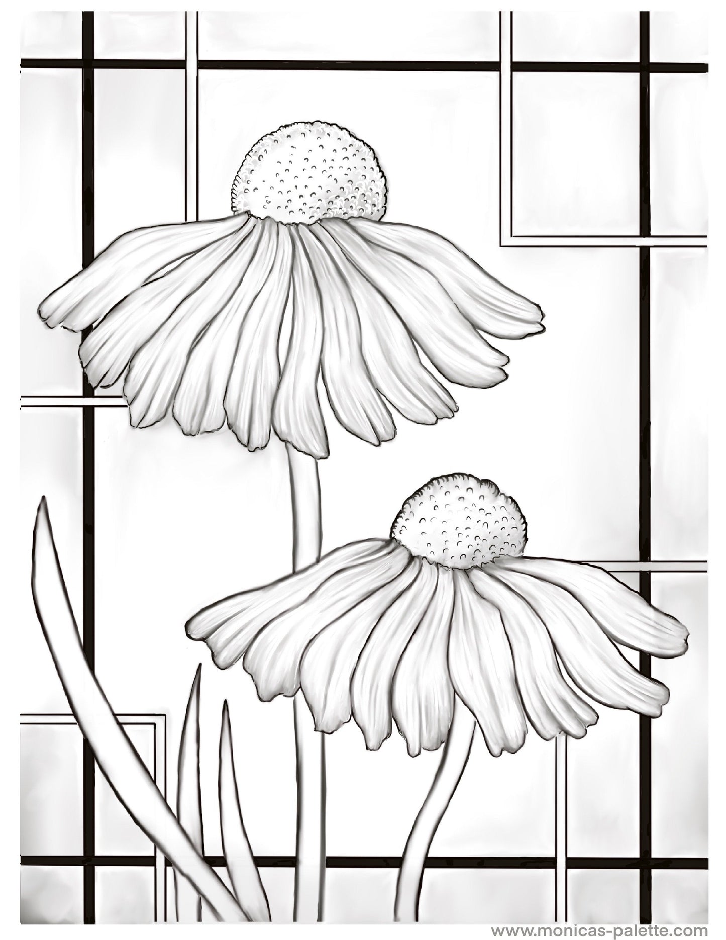 Coloring Page - Daisies Coloring Page