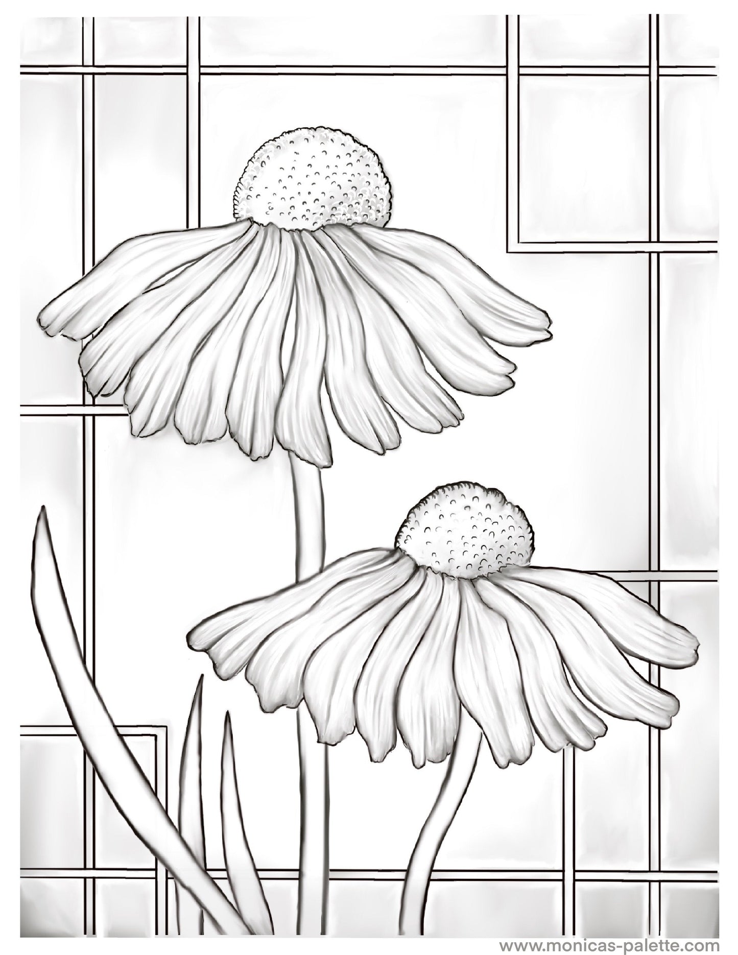 Coloring Page - Daisies Coloring Page