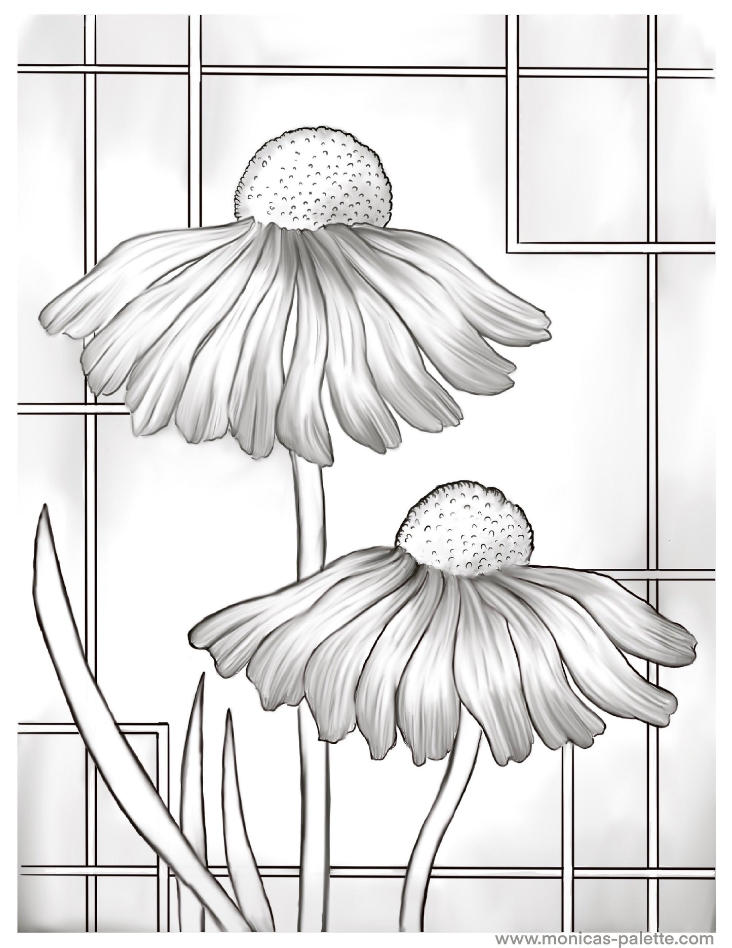Coloring Page - Daisies Coloring Page