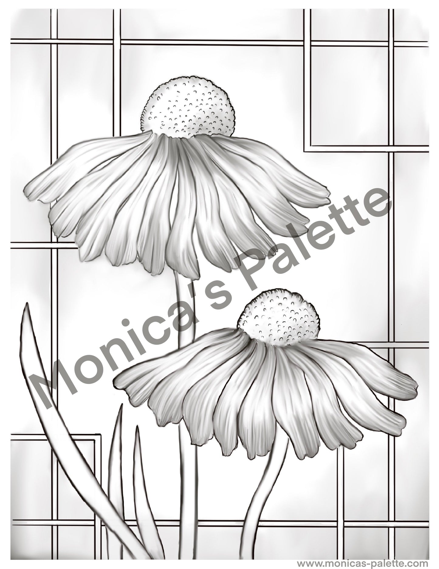 Coloring Page - Daisies Coloring Page