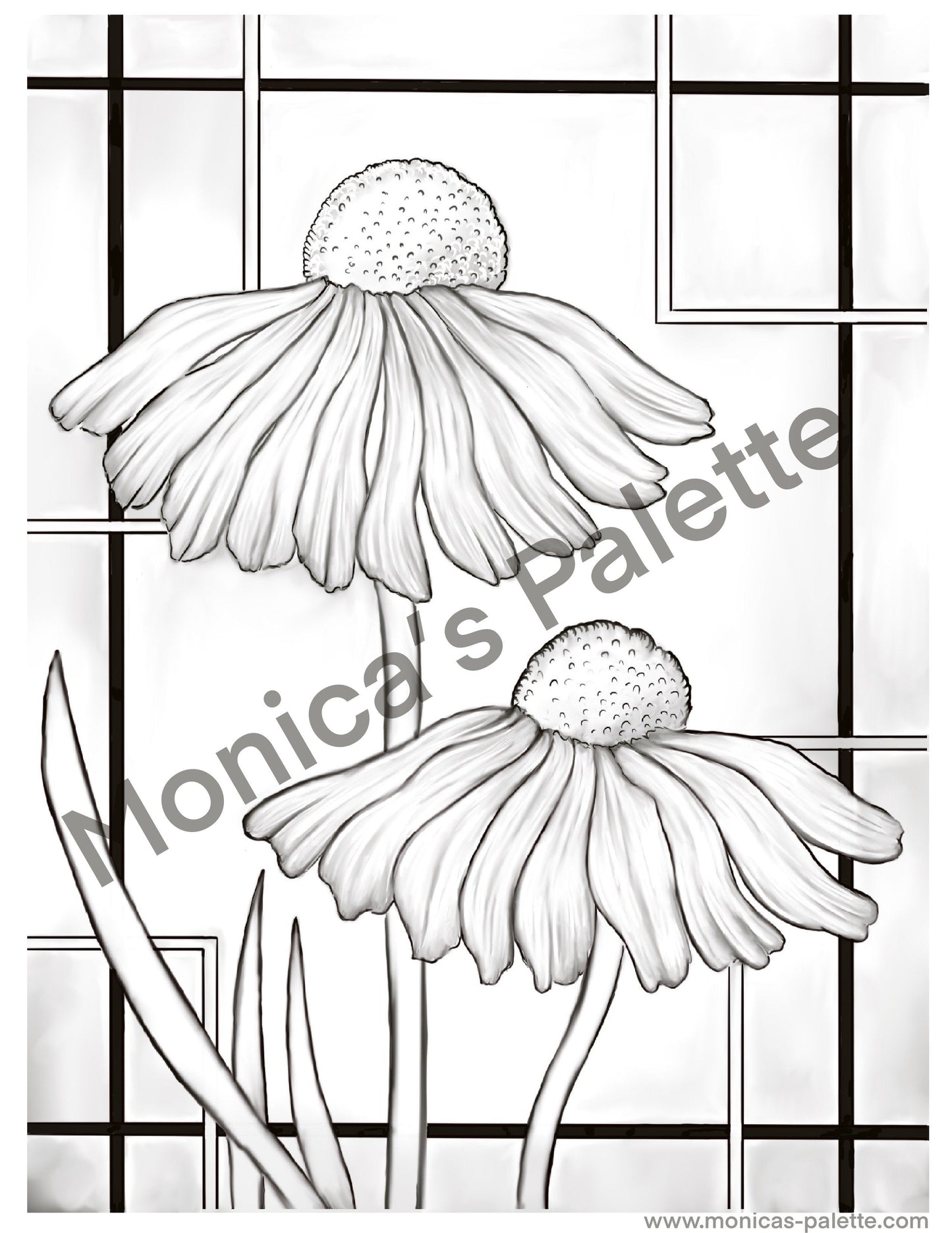 Coloring Page - Daisies Coloring Page