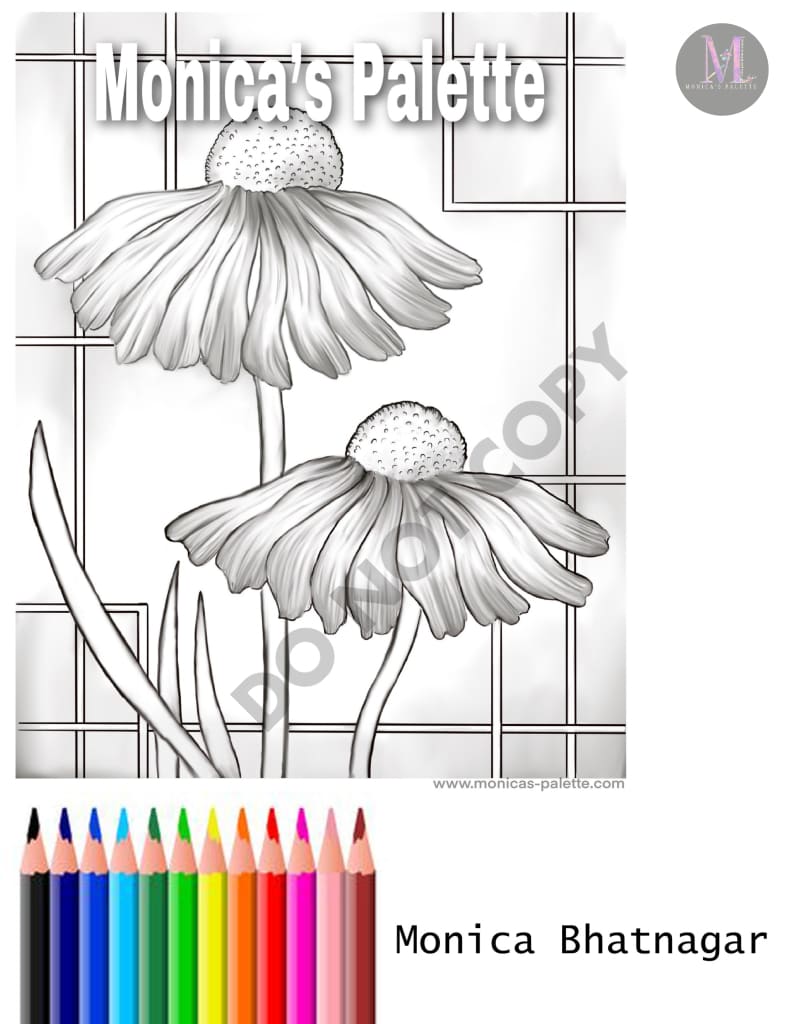 Coloring Page - Daisies Coloring Page