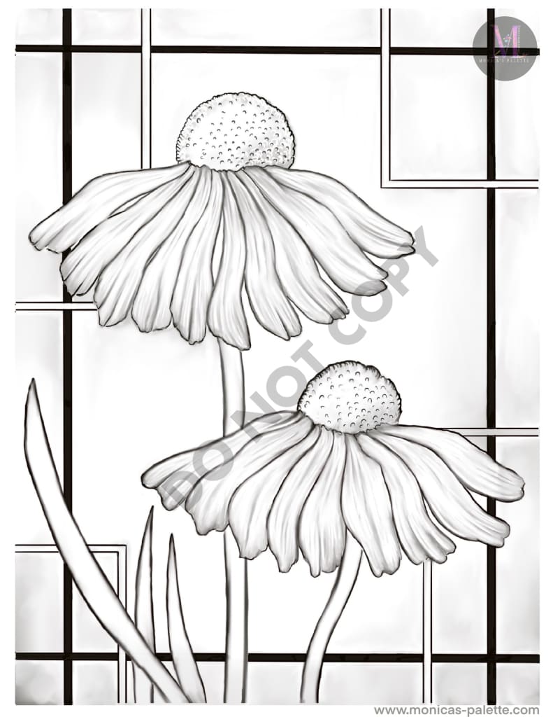 Coloring Page - Daisies Coloring Page