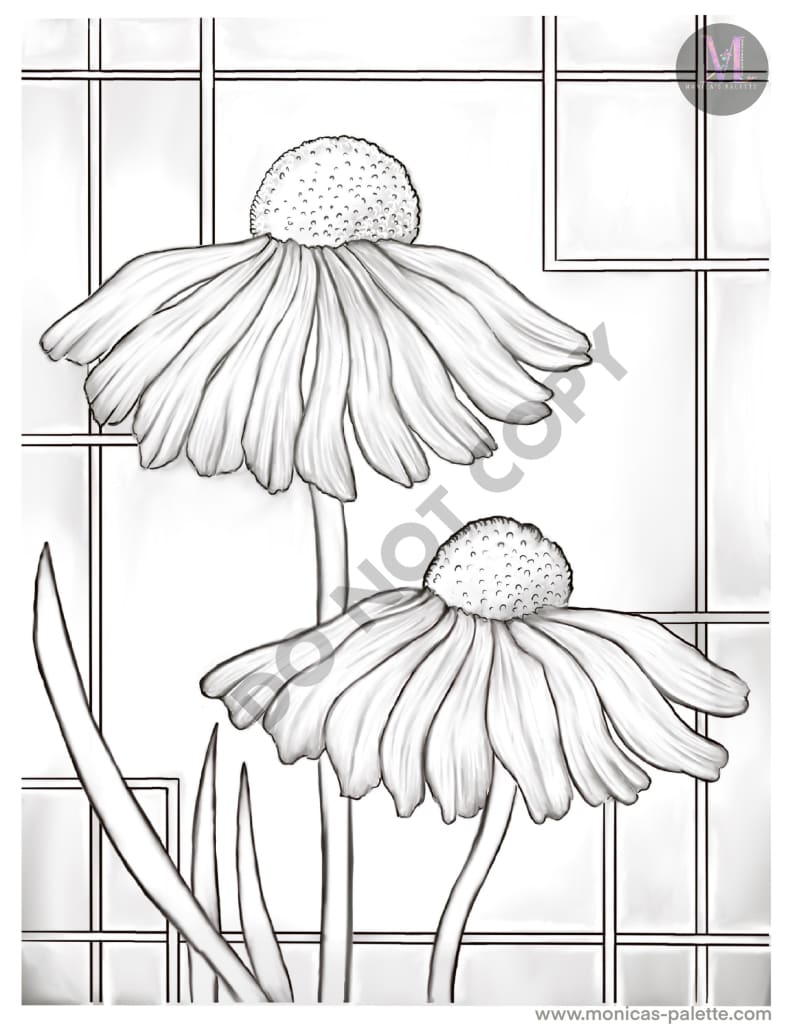 Coloring Page - Daisies Coloring Page