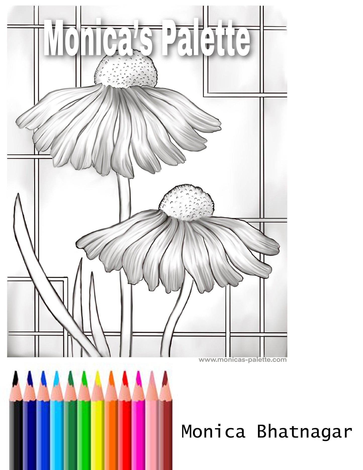 Coloring Page - Daisies Coloring Page