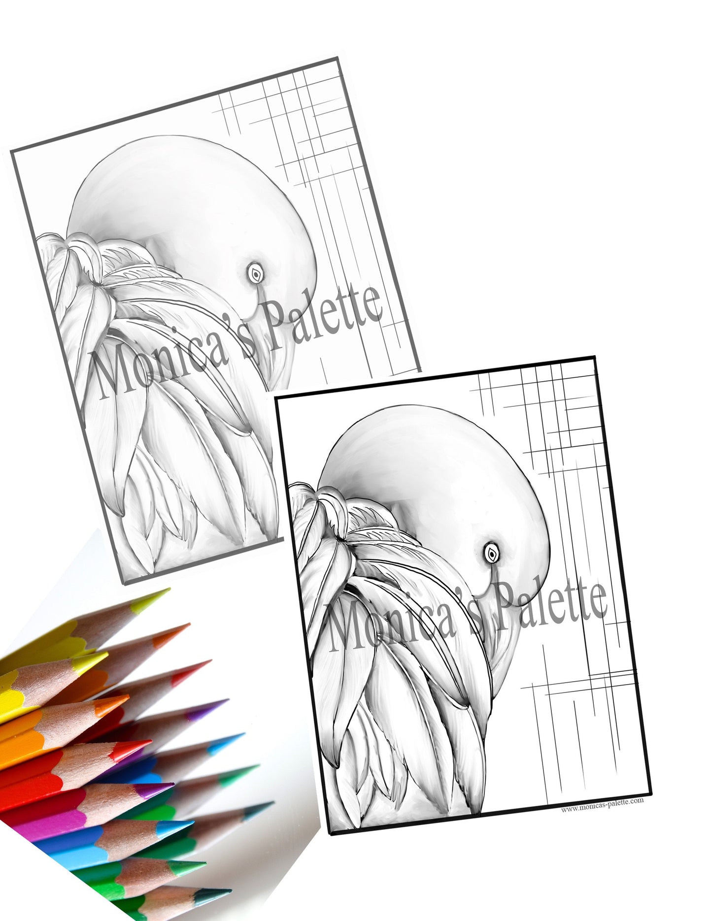 Usd 1.49 Only Adult Coloring Books Coloring Page Color Me Printable Flamingo Sketch Modern Line