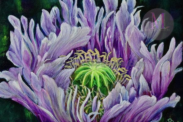 Ragged Poppy Flower Original Acrylic Painting And Canvas Prints
