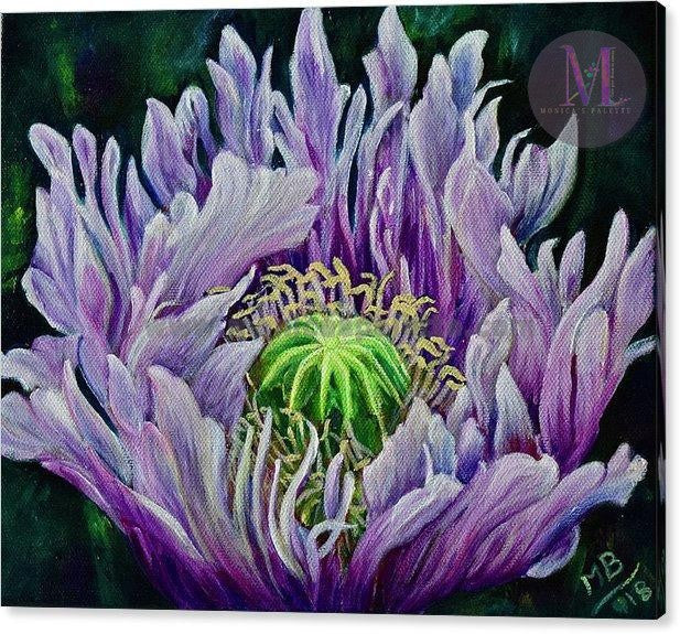 Ragged Poppy Flower Original Acrylic Painting And Canvas Prints