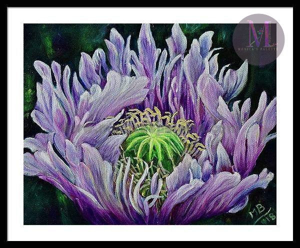 Ragged Poppy Flower Original Acrylic Painting And Canvas Prints