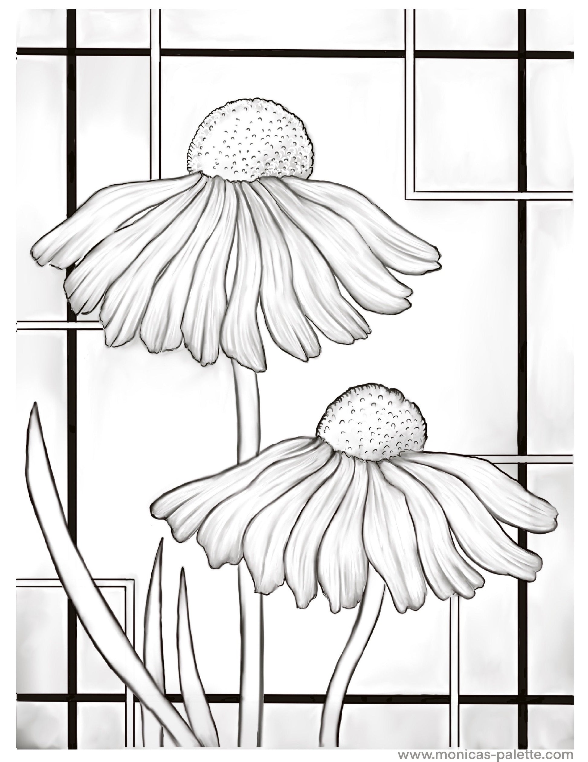 Coloring Page - Daisies Coloring Page