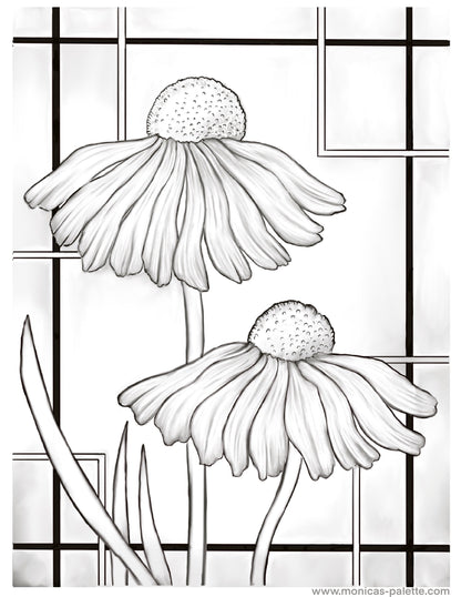 Coloring Page - Daisies Coloring Page