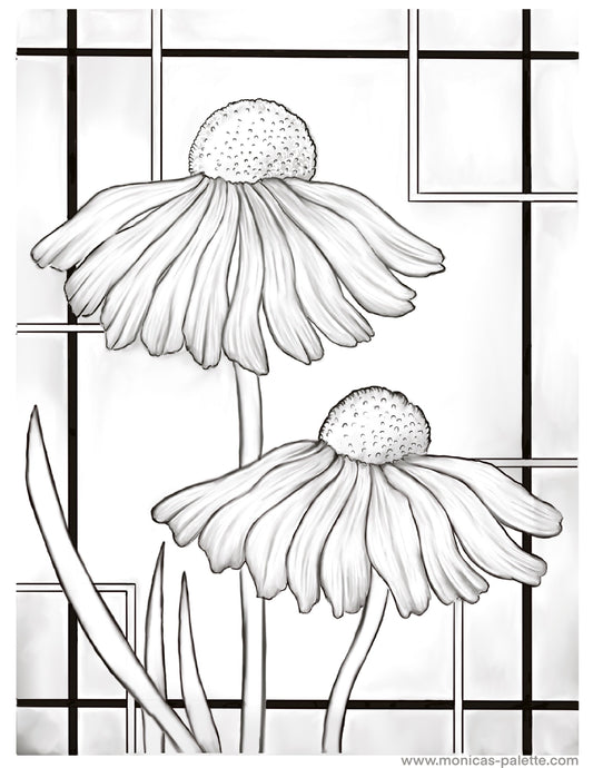 Coloring Page - Daisies Coloring Page