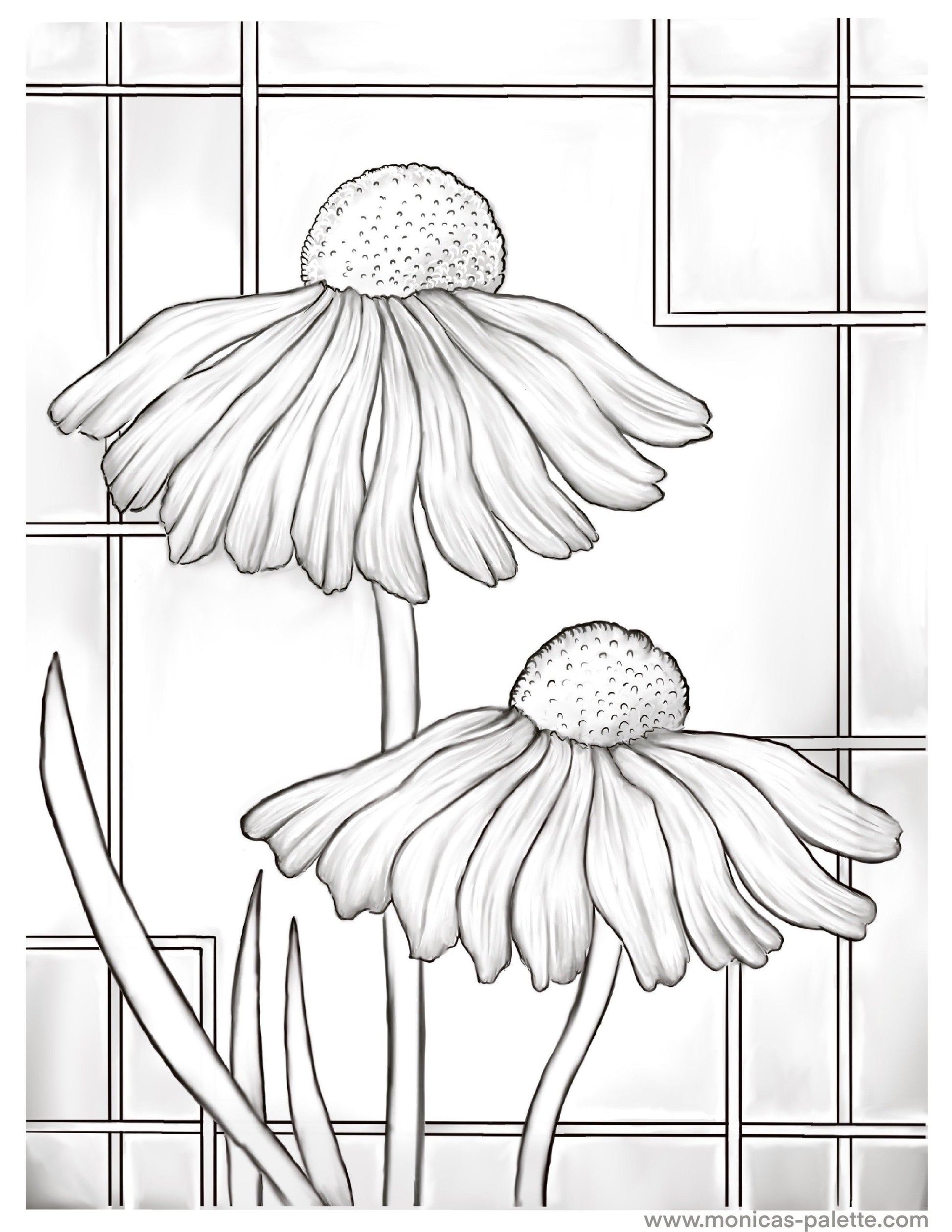 Coloring Page - Daisies Coloring Page