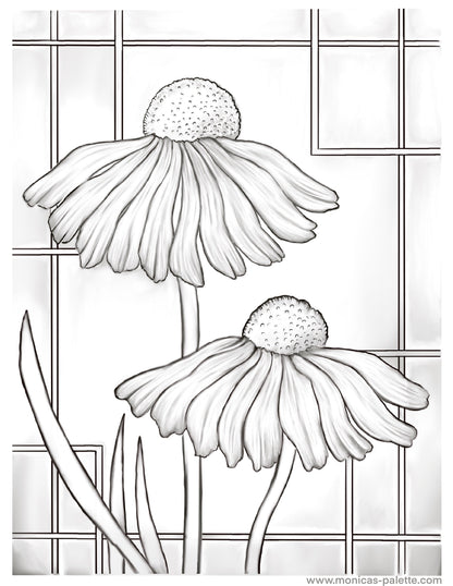 Coloring Page - Daisies Coloring Page
