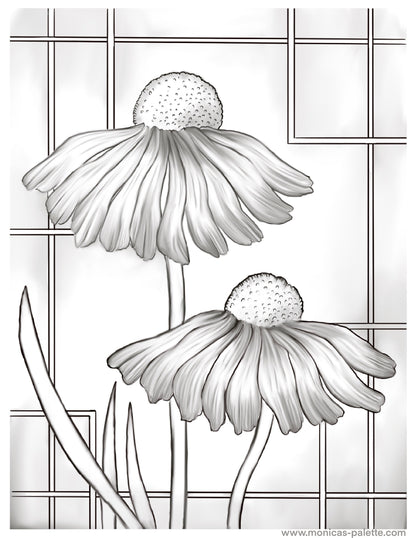 Coloring Page - Daisies Coloring Page