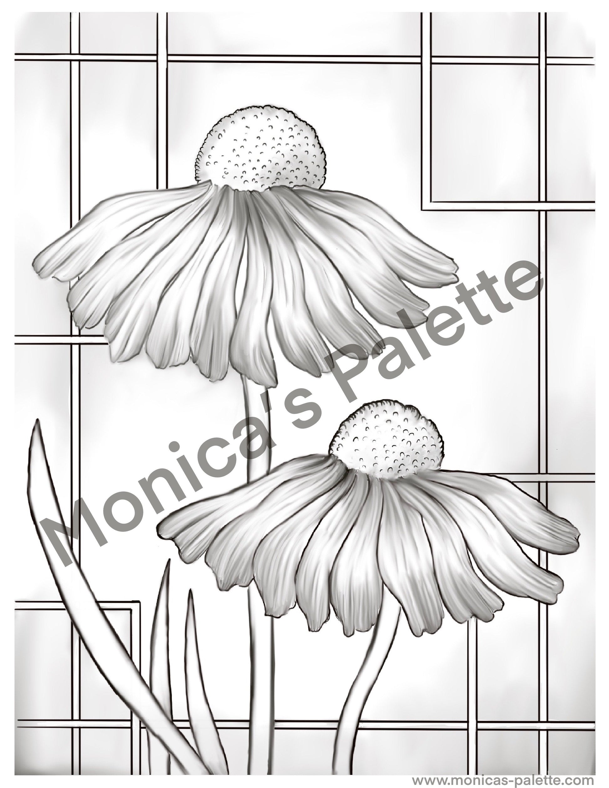 Coloring Page - Daisies Coloring Page