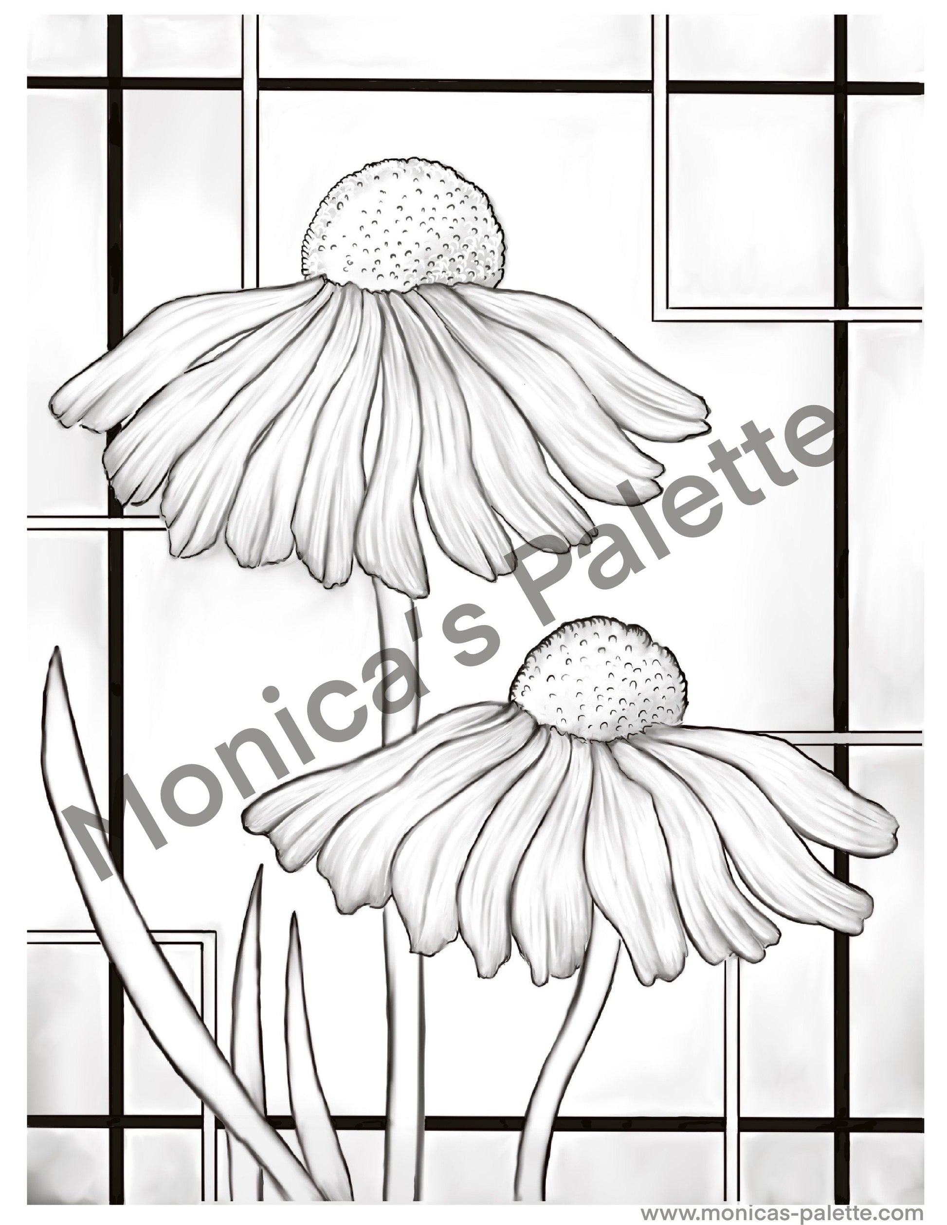 Coloring Page - Daisies Coloring Page