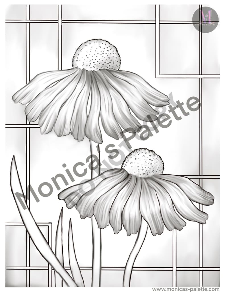 Coloring Page - Daisies Coloring Page