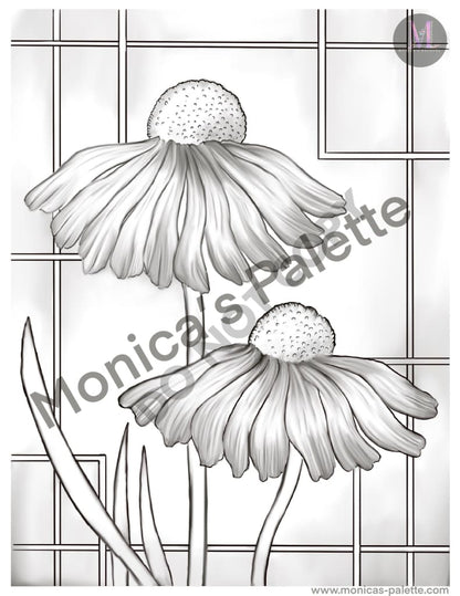 Coloring Page - Daisies Coloring Page
