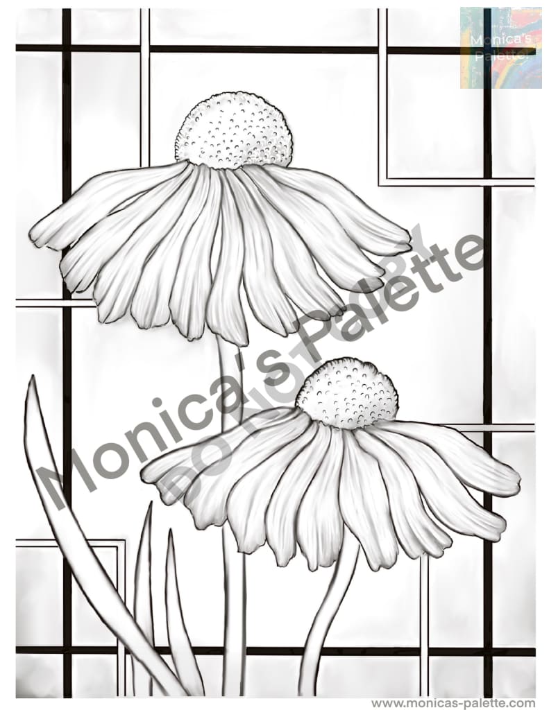 Coloring Page - Daisies Coloring Page