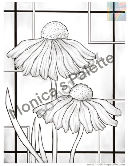 Coloring Page - Daisies Coloring Page