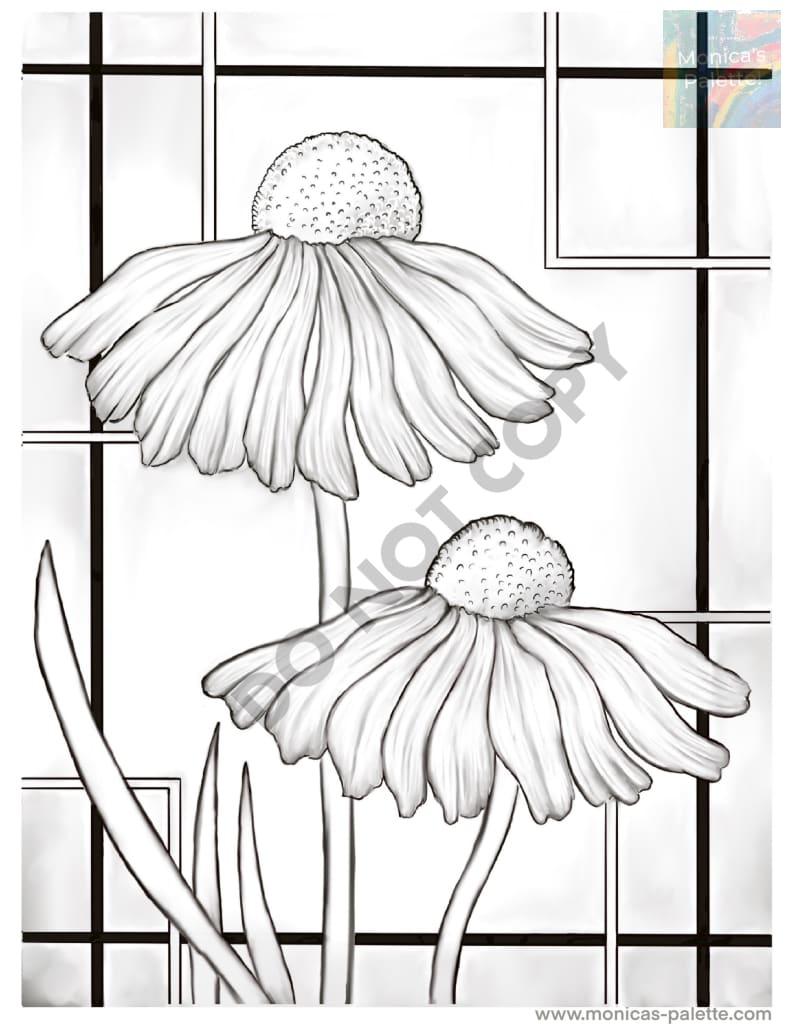 Coloring Page - Daisies Coloring Page