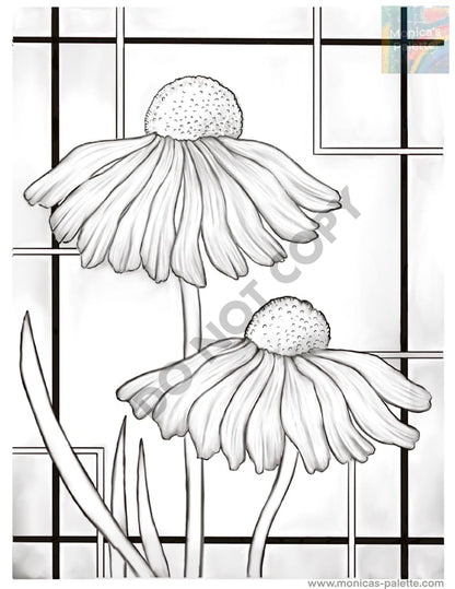 Coloring Page - Daisies Coloring Page