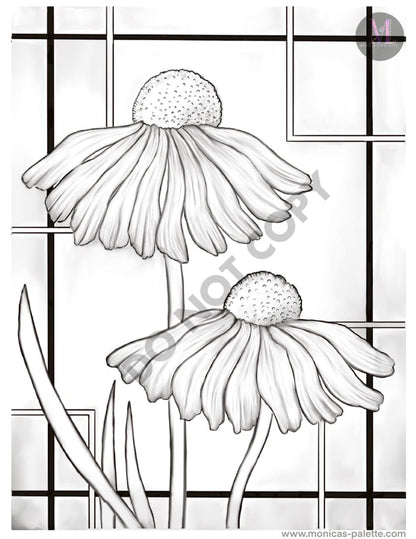 Coloring Page - Daisies Coloring Page