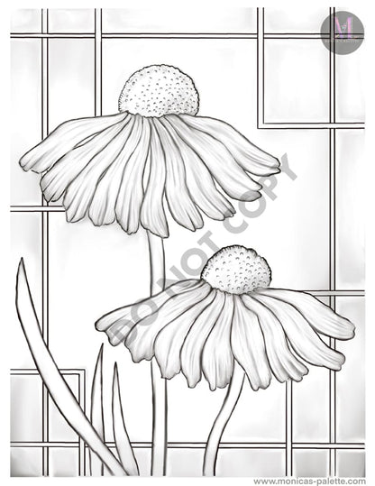 Coloring Page - Daisies Coloring Page