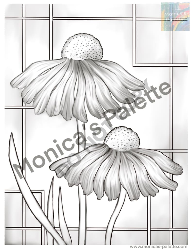 Coloring Page - Daisies Coloring Page