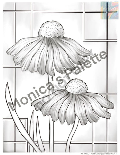 Coloring Page - Daisies Coloring Page