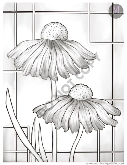 Coloring Page - Daisies Coloring Page