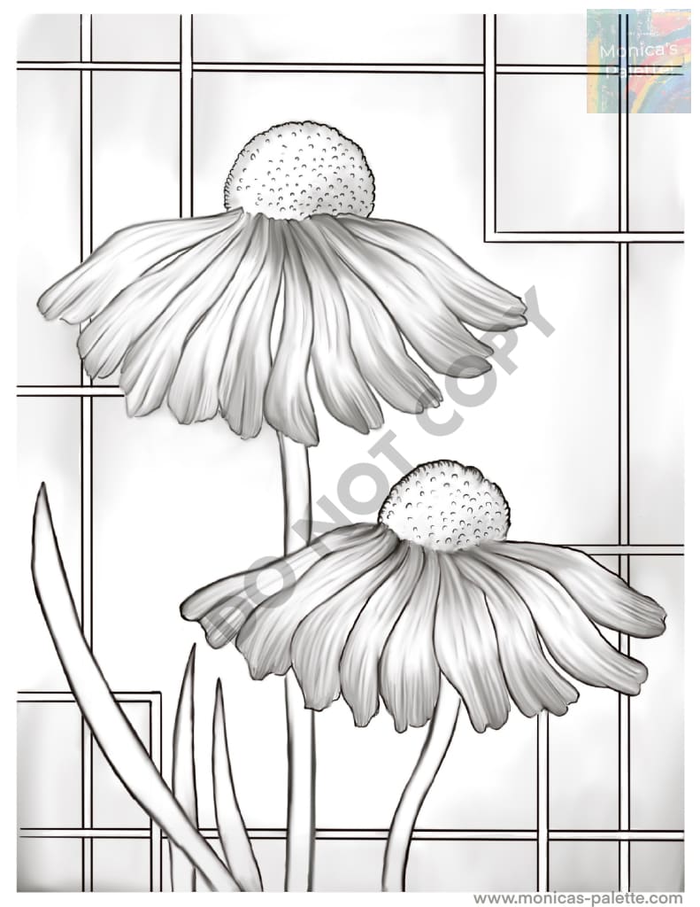 Coloring Page - Daisies Coloring Page