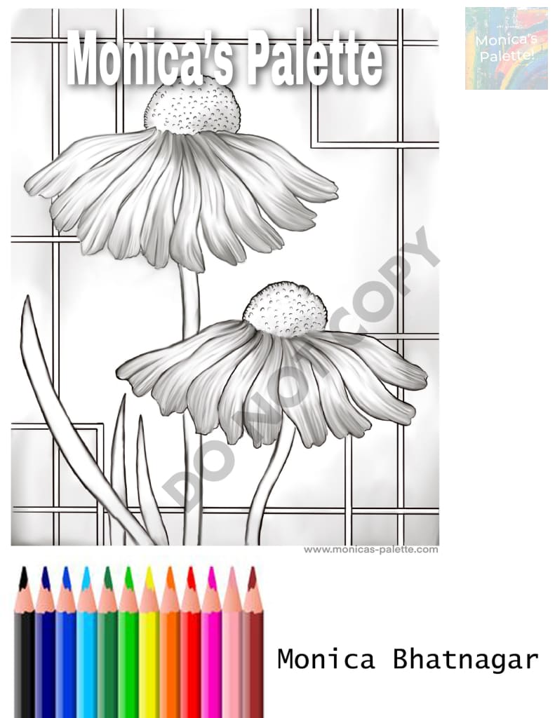 Coloring Page - Daisies Coloring Page