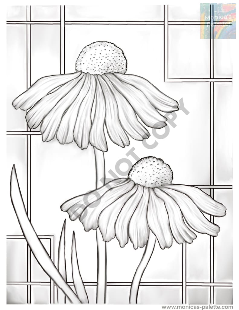Coloring Page - Daisies Coloring Page