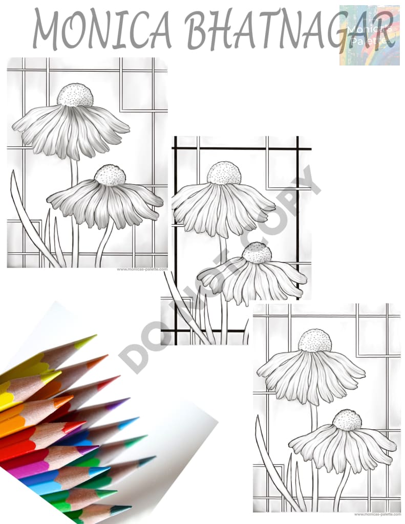 Coloring Page - Daisies Coloring Page