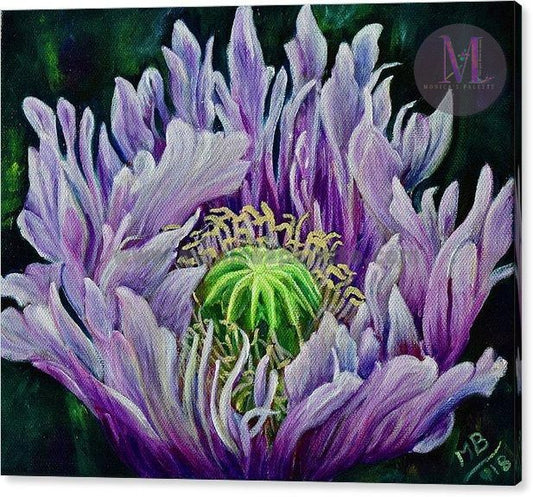 Ragged Poppy Flower Original Acrylic Painting And Canvas Prints