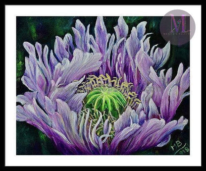 Ragged Poppy Flower Original Acrylic Painting And Canvas Prints