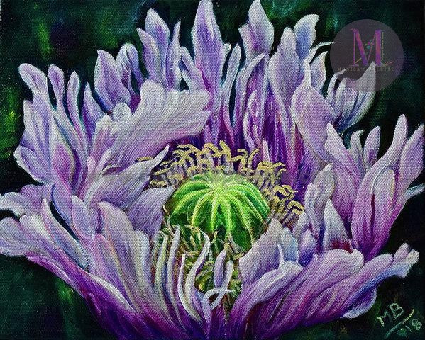 Ragged Poppy Flower Original Acrylic Painting And Canvas Prints / 8X 10