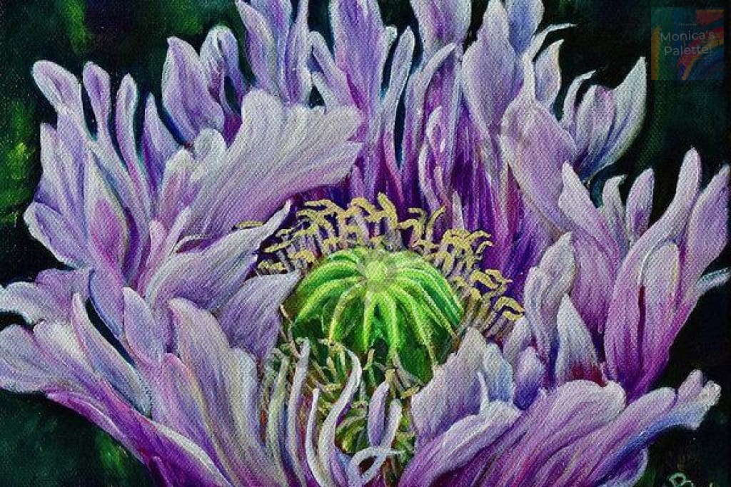 Ragged Poppy Flower Original Acrylic Painting And Canvas Prints