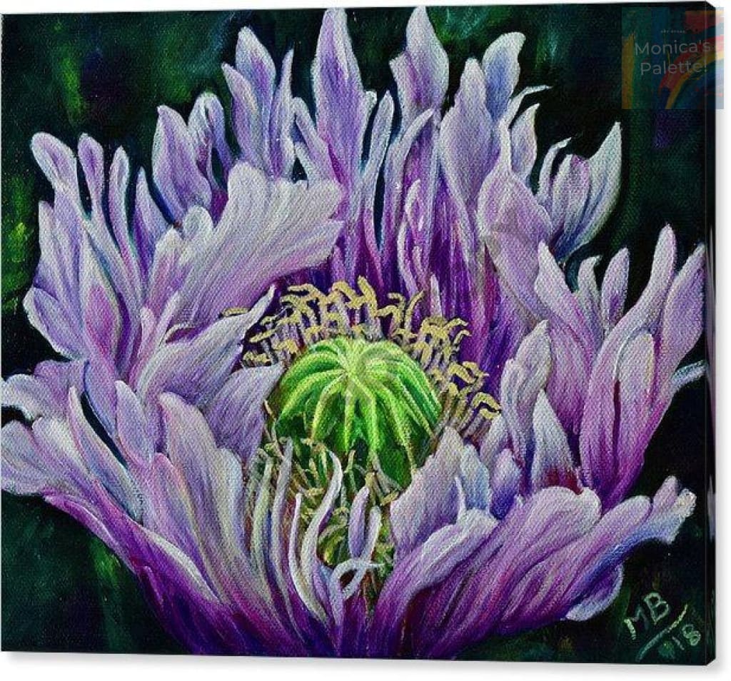 Ragged Poppy Flower Original Acrylic Painting And Canvas Prints