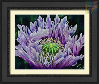 Ragged Poppy Flower Original Acrylic Painting And Canvas Prints