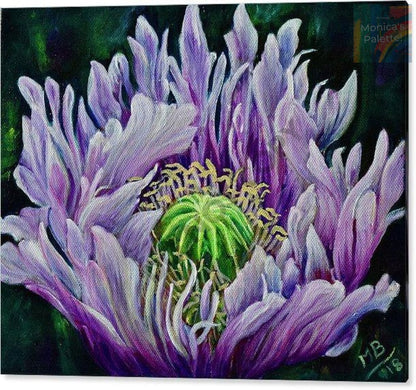 Ragged Poppy Flower Original Acrylic Painting And Canvas Prints