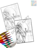Usd 1.49 Only Adult Coloring Books Coloring Page Color Me Printable Flamingo Sketch Modern Line