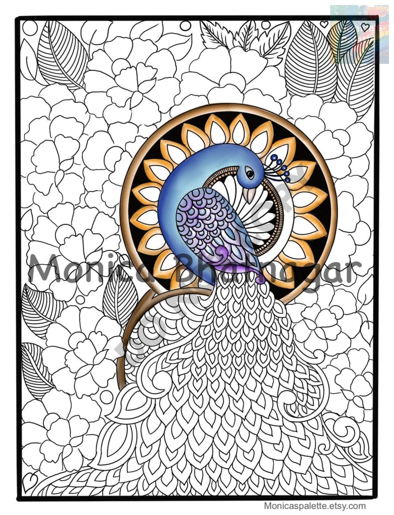 Usd 1.49 Only Coloring Page Low Cost Printable Page Adult Coloring Books